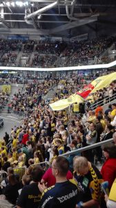 Löwen-Fanblock in der SAP Arena